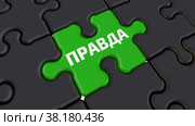 Fake and true. The words on the puzzles. Translation text: "fake, true" Стоковая анимация, аниматор WalDeMarus / Фотобанк Лори