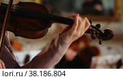 Young woman playing the violin. Стоковое видео, видеограф Потийко Сергей / Фотобанк Лори
