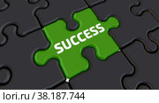 Fail and success. The words on the puzzles. Стоковая анимация, аниматор WalDeMarus / Фотобанк Лори