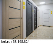 Образцы межкомнатных дверей на выставке-продаже (2022 год). Редакционное фото, фотограф Вячеслав Палес / Фотобанк Лори