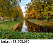 Александровский парк (Царское Село). Осенние клены по берегам Крестового канала. Alexander Park (Tsarskoye Selo). Autumn maples along the banks of the Krestovy Canal. (2021 год). Стоковое фото, фотограф Евгений Романов / Фотобанк Лори