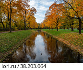 Александровский парк (Царское Село). Осенние клены по берегам Крестового канала. Alexander Park (Tsarskoye Selo). Autumn maples along the banks of the Krestovy Canal. (2021 год). Стоковое фото, фотограф Евгений Романов / Фотобанк Лори