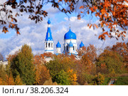 Церковь Покрова Пресвятой Богородицы. г. Гатчина. (2022 год). Стоковое фото, фотограф Роман Рожков / Фотобанк Лори