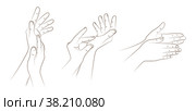 Set of female hands in realistic gesture of stroking, rubbing and applying to skin moisturizing cream. Hand skin care to prolong health, beauty and youth. Skin care, nutrition and protection. Sketch. Две женские руки в реалистичном жесте поглаживания, растирания и нанесения на кожу увлажняющего крема. Уход за кожей рук для продления здоровья, красоты и молодости. Уход за кожей, питание и защита. Эскиз. Стоковая иллюстрация, иллюстратор Dmitry Domashenko / Фотобанк Лори