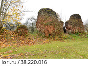 Руины епископского замка Фишхаузен (1268 год). Приморск, Калининградская область (2016 год). Стоковое фото, фотограф Ирина Борсученко / Фотобанк Лори