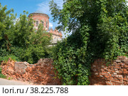 Храм Покрова Пресвятой Богородицы в Ельце (2021 год). Стоковое фото, фотограф Pukhov K / Фотобанк Лори