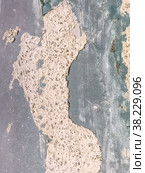 Empty texture of old wall. Distressed painted wall surface. Rough wall. Grunge grey background. Shabby facade of building with damaged plaster. Abandoned Grange cracks. Abstract web Banner for logo. Стоковое фото, фотограф Aleksandr Golubev / Фотобанк Лори