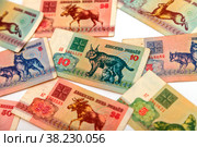 Belarusian rubles of the sample of 1992. To cash out money after the devaluation. Salary or credit. Bills on a white background, Finance and collecting rare coins. Стоковое фото, фотограф Aleksandr Golubev / Фотобанк Лори