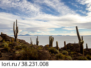 Uyuni salt marsh in Bolivia beautiful views sunsets and sunrises (2015 год). Стоковое фото, фотограф Aleksandr Golubev / Фотобанк Лори