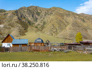 Inya, village in a mountain valley (2018 год). Стоковое фото, фотограф Ольга Остроухова / Фотобанк Лори