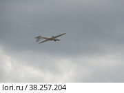 Польский планер высшего пилотажа MDM-1 Fox на Международном авиационно-космическом салоне МАКС-2021. Редакционное фото, фотограф Free Wind / Фотобанк Лори