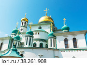 Воскресенский Ново-Иерусалимский монастырь. Купола церкви Константина и Елены и Воскресенского собора. Истра, Московская область (2022 год). Стоковое фото, фотограф Александр Щепин / Фотобанк Лори