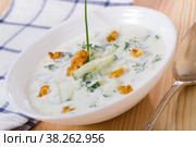 National Macedonian and Bulgarian dish Tarator. Стоковое фото, фотограф Яков Филимонов / Фотобанк Лори