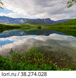 Beautiful landscape of a mountain lake Small Vudyavr with reflection of clouds in the water. In the foreground are flowers. Khibiny, Murmansk region, Kola Peninsula, Russia. Стоковое фото, фотограф Михаил Аккуратoв / Фотобанк Лори