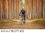 Молодая женщина едет на велосипеде в сосновом бору. Редакционное фото, фотограф Сергей Цепек / Фотобанк Лори