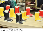 Rubber boots of different colors on store shelves. Стоковое фото, фотограф Irina Kuchugurina/Gaudy / Фотобанк Лори