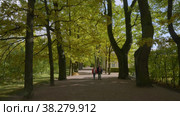Екатерининский парк (Царское Село). Дубовая аллея. Catherine Park (Tsarskoye Selo). Oak Alley. (2021 год). Редакционное видео, видеограф Евгений Романов / Фотобанк Лори