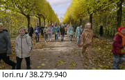 Екатерининский парк (Царское Село). Туристы на Эрмитажной аллее. Catherine Park (Tsarskoye Selo). Tourists on the Hermitage Alley. (2021 год). Редакционное видео, видеограф Евгений Романов / Фотобанк Лори
