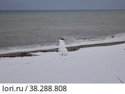 Абхазия в снегах (2016 год). Стоковое фото, фотограф Darya Khubetsova / Фотобанк Лори
