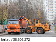 Москва, осенний день, уборка улиц. Трактор загружает в кузов грузовика опавшую листву (2022 год). Редакционное фото, фотограф Наталья Николаева / Фотобанк Лори