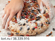 Женские руки замешивают цукаты в тесто для рождественского штоллена. Стоковое фото, фотограф Игорь Овсянников / Фотобанк Лори