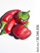 Sweet red peppers. An ingredient for cooking culinary dishes. Стоковое фото, фотограф Елена Бобкова / Фотобанк Лори