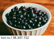 Bowl Full of Ripe Purple Berries of Shadbush. Стоковое фото, фотограф Всеволод Белоусов / Фотобанк Лори