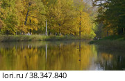 Екатерининский парк (Царское Село). Первый пруд Большого каскада. Catherine Park (Tsarskoye Selo). The First Pond of the Grand Cascade. (2021 год). Редакционное видео, видеограф Евгений Романов / Фотобанк Лори