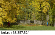 Екатерининский парк (Царское Село). Беседка у Розового поля. Catherine Park (Tsarskoye Selo). Gazebo by the Rose field. (2021 год). Редакционное видео, видеограф Евгений Романов / Фотобанк Лори