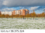 Парк Яблоньки на проспекте Ветеранов. Санкт-Петербург (2012 год). Редакционное фото, фотограф Александр Щепин / Фотобанк Лори