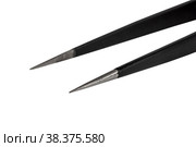 Black metal tweezer with antistatic coating. Стоковое фото, фотограф Денис Дряшкин / Фотобанк Лори