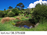 Hobbiton, New Zealand - 15 Dec 2018. Hobbiton is theme Park in New Zealand. Редакционное фото, фотограф Сергей Стрелков / Фотобанк Лори