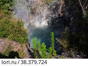 Thermal Park in Rotorua, New Zealand. Стоковое фото, фотограф Сергей Стрелков / Фотобанк Лори