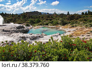 Thermal Park in Rotorua, New Zealand. Стоковое фото, фотограф Сергей Стрелков / Фотобанк Лори