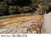 Wai-o-tapu geothermal Park, Rotorua, New Zealand. Стоковое фото, фотограф Сергей Стрелков / Фотобанк Лори