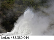 Lady knox geyser in wai-o-tapu thermal park, New Zealand. Стоковое фото, фотограф Сергей Стрелков / Фотобанк Лори