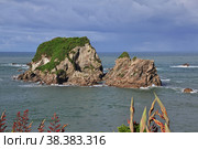 West coast on the South island, New Zealand. Стоковое фото, фотограф Сергей Стрелков / Фотобанк Лори