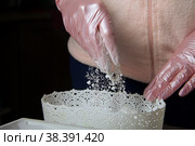 A woman mixes dextrose with powdered sugar. For processing marshmallows. Homemade zephyr. Стоковое фото, фотограф Vadzim Yakubovich / Фотобанк Лори