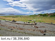 Penguins on the island in Beagle channel close Ushuaia city, Tierra del Fuego, Argentina (2019 год). Стоковое фото, фотограф Сергей Стрелков / Фотобанк Лори