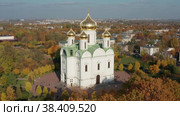 Город Пушкин. Собор святой великомученицы Екатерины. Вид с воздуха. The city of Pushkin. Cathedral of St. Catherine the Great Martyr. Aerial view. (2021 год). Стоковое видео, видеограф Евгений Романов / Фотобанк Лори