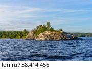 Rounded Ladoga Island, overgrown with birches. Ladoga lake skerries, Pitkyaranta, Karelia. Стоковое фото, фотограф Михаил Аккуратoв / Фотобанк Лори