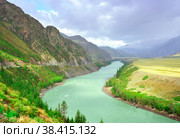 The Katun River in the Altai Mountains. Стоковое фото, фотограф ArhSib / Фотобанк Лори