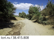 The road in Wadi Sara in mountains, Yemen (2013 год). Стоковое фото, фотограф Сергей Стрелков / Фотобанк Лори