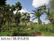 Wadi Sara in mountains, Yemen (2013 год). Стоковое фото, фотограф Сергей Стрелков / Фотобанк Лори