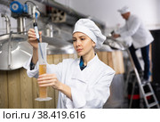 Female brewer using digital hydrometer for measuring beer density. Стоковое фото, фотограф Яков Филимонов / Фотобанк Лори