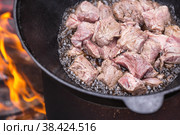 Рецепт приготовления картофеля с мясом и овощами в казане на природе. Приготовление еды. Кулинарные рецепты. Пошаговая фото инструкция по приготовлению. Стоковое фото, фотограф Photojuli / Фотобанк Лори
