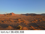 Amazing View from dune in dry pan of Sossusvlei Namib Naukluft National Park. Стоковое фото, фотограф Andreas Muth-Hegener / Фотобанк Лори