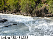 Behemoth — the rapid on the mountain the Chuya river in the Altai Republic near the mouth of the river Agulak. Nature Of Altai. The boiling water of a mountain river. Бегемот — стремнина на горной реке Чуя в Республике Алтай недалеко от устья реки Агулак. Природа Алтая. Кипящая вода горной реки. Стоковое фото, фотограф Мария Кошелева / Фотобанк Лори