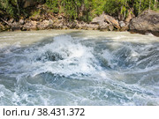Behemoth — the rapid on the mountain the Chuya river in the Altai Republic near the mouth of the river Agulak. Nature Of Altai. The boiling water of a mountain river. Бегемот — стремнина на горной реке Чуя в Республике Алтай недалеко от устья реки Агулак. Природа Алтая. Кипящая вода горной реки. Стоковое фото, фотограф Мария Кошелева / Фотобанк Лори