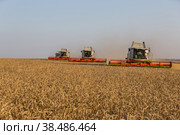 Russia, Kazan - august 5, 2020 : Claas Combine Harvester harvesting a crop of Barley. Редакционное фото, фотограф Ольга Сейфутдинова / Фотобанк Лори